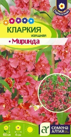 Семена Кларкия Изящная Миринда