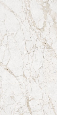 NT Ceramic Marmo Impero Grey Carving 60x120