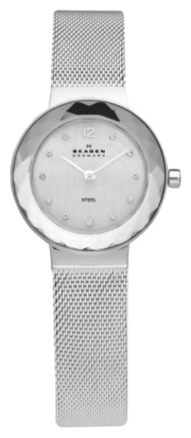 Наручные часы Skagen 456SSS фото