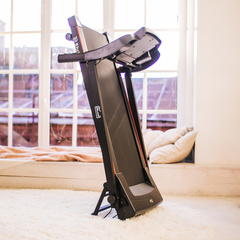 Беговая дорожка Orlauf Shrike