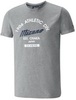 Футболка беговая Mizuno Authentic Tee мужская