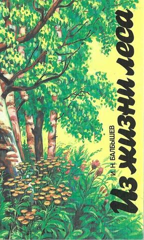 Из жизни леса