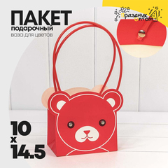 
          Пакет подарочный 14.5х10х14.5см Ваза для цветов "Мишка" (Красный)