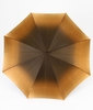 Зонт-трость Pasotti 189-58310-9 & S10-Handle P18 Amber, Италия