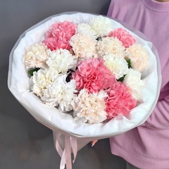 Букет из 17 диантусов в "облачке"