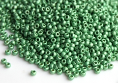 RR-4214F duracoat galvanized matte dark mint green