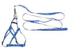 Поводок со шлейкой для кошек и собак Dog Chain, 10 мм х 120 см