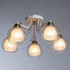 Люстра Arte Lamp Intreccio A1633PL-5WG