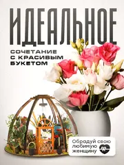 Румбокс оранжерея набор для творчества