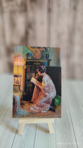 Любимая книга