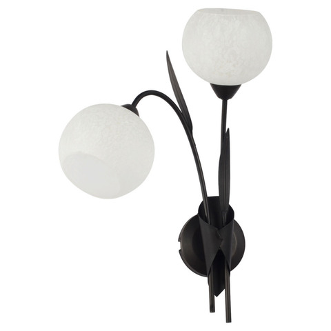 Настенный светильник Lussole Bagheria LSF-6291-02