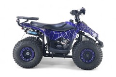 Детский бензиновый квадроцикл RiverToys LEON с электростартером