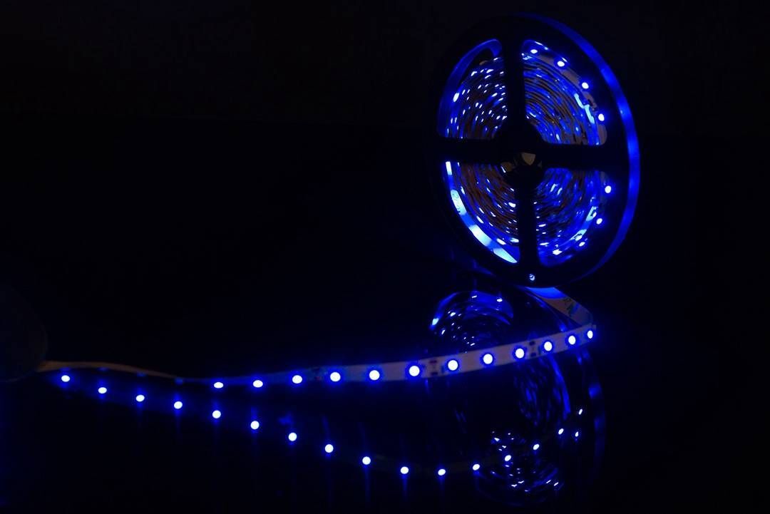 Светодиодная лента SWG 4,8W/m 60Led/m 3528SMD синий 5M SWG360-12-4.8-B-М 009469