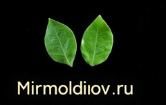 Силиконовый вайнер Лист универсальный № 14 Черноплодной рябины