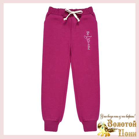 Брюки спорт/начес д (8-12) 241002-BK1713B.2