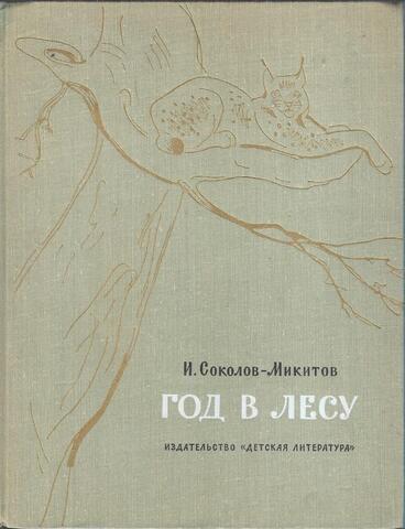 Год в лесу
