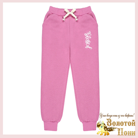 Брюки спорт/начес д (8-12) 241002-BK1713B.3