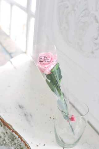 Стабилизированная роза на стебле премиум вип  нежно-розовая