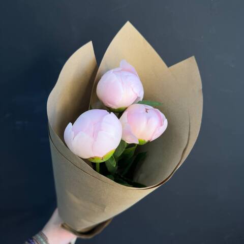 Пионы розовые нежные 3 шт