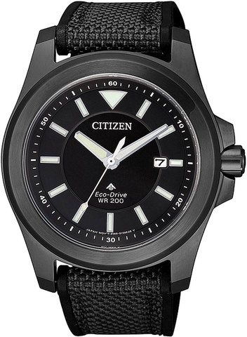 Наручные часы Citizen BN0217-02E фото