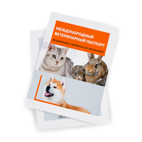 Ярвет Международный ветеринарный паспорт