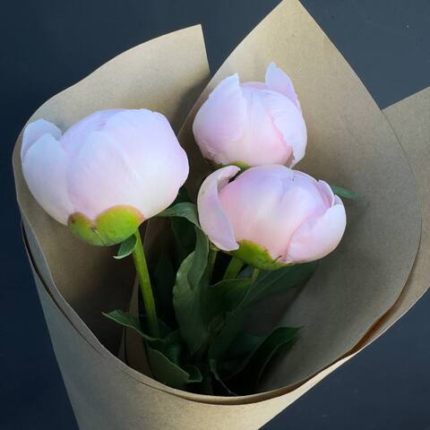 Пионы розовые нежные 3 шт