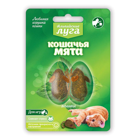 Кошачья мята Альпийские луга, 2 мышки