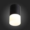 Светильник потолочный ST Luce ST100.402.05