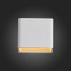 Светильник настенный ST Luce Grappa 2 SL455.051.01