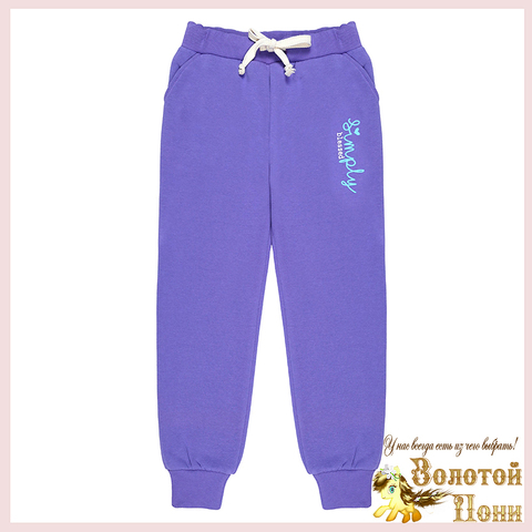 Брюки спорт/начес д (8-12) 241002-BK1713B.4