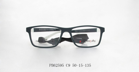 PB62595