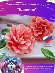Комплект молдов 