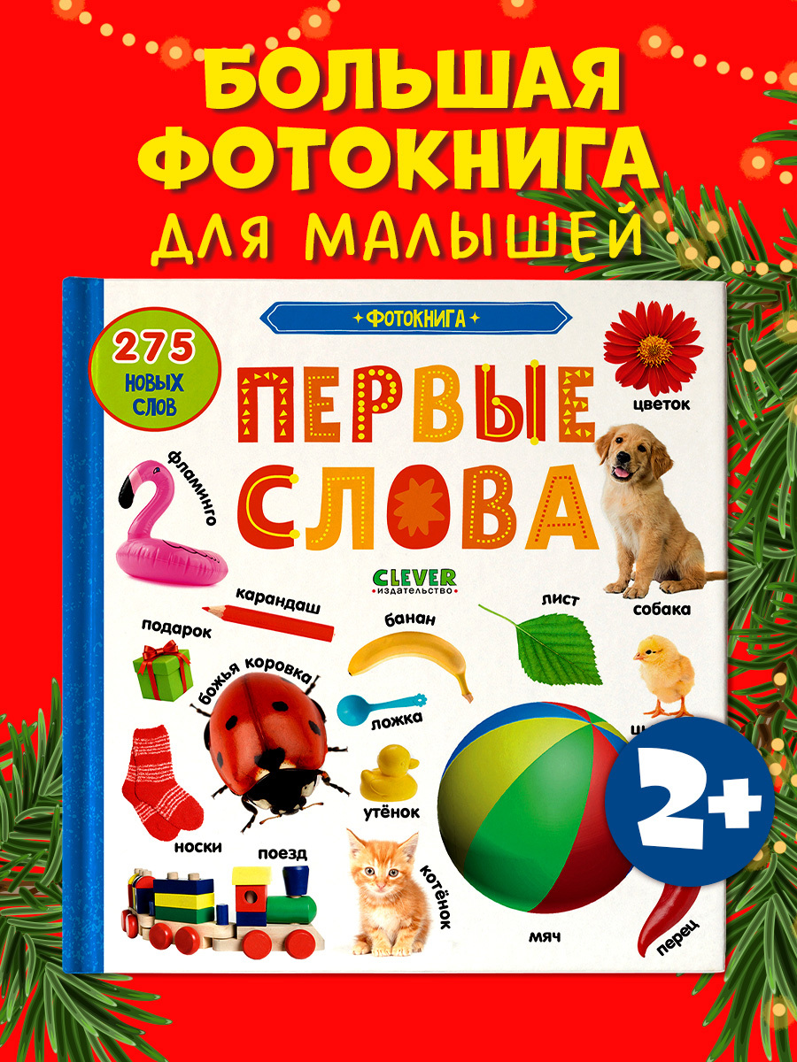 

Первые знания. Фотокниги. Первые слова