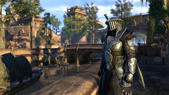 The Elder Scrolls Online: Standard Edition (для ПК, цифровой код доступа)