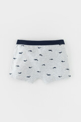 трусы/ уп  для мальчика  К 1980-2уп/небесный,серо-голуб.меланж,акулы