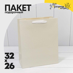 
          Пакет подарочный 26х32х13см Премиум "Элегант" (Белый)
