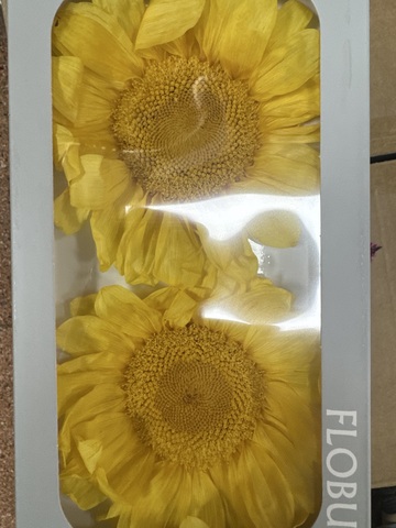 Подсолнух стаб. Желтый 10-11см (2шт в упак.)