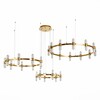 Люстра подвесная ST Luce Gemina SL6007.203.54