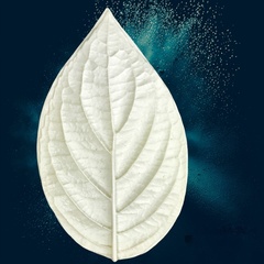 Молд для творчества 