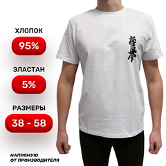 Футболка Kyokushinkai