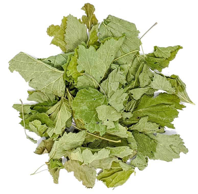 Травы и добавки Лист черной смородины цельный, сушеный, 50 гр Chernaya_smorodina.jpg