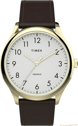 Наручные часы Timex TW2T71600YL фото