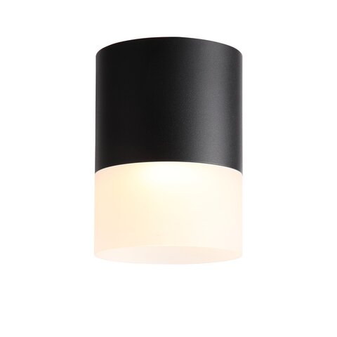 Светильник потолочный ST Luce Ottu ST100.402.15