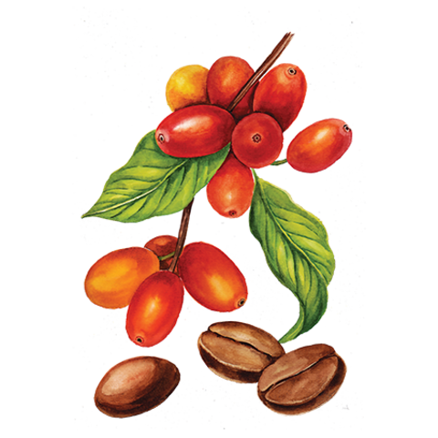 Сироп Кофейный ProffSyrup