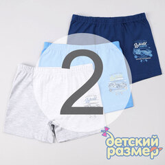 2 (3-4 года)