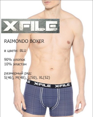 Мужские трусы Raimondo Boxer X-File