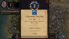 Puzzle Quest: Immortal Edition (для ПК, цифровой код доступа)