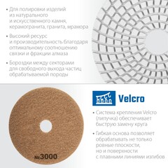 ЗУБР 100 мм, №3000, мокрое шлифование, алмазный гибкий шлифовальный круг АГШК, Профессионал (29866-3000)