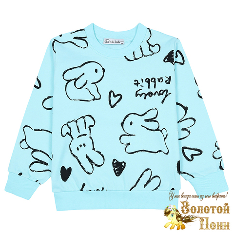 Свитшот хлоп/начес д (3-7) 241030-BK1718T.3