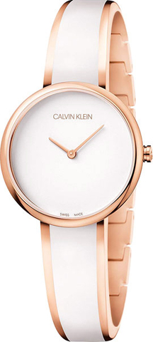 Наручные часы Calvin Klein K4E2N616